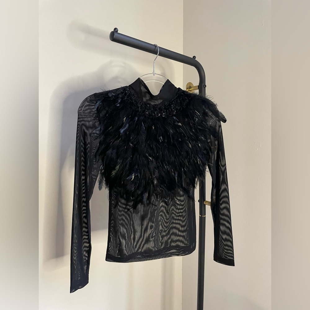 Feathered Mesh Long-Sleeve Top